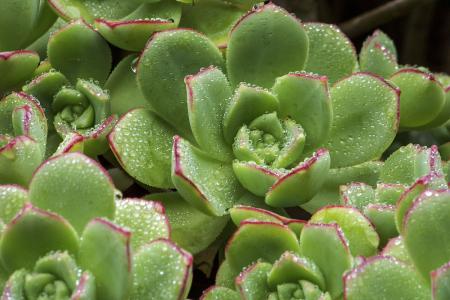 永4.2Ԫ㽭һҽթƭ