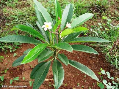 հ죺ˮϵȫͨ ˳ǡø˾