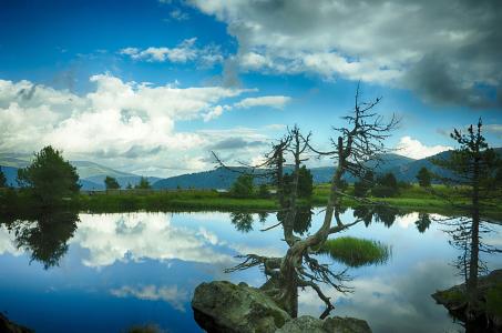 ϵĲƽح17߼ټδѧǴ»